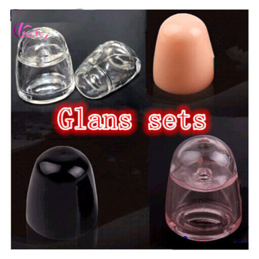 Penis Glans